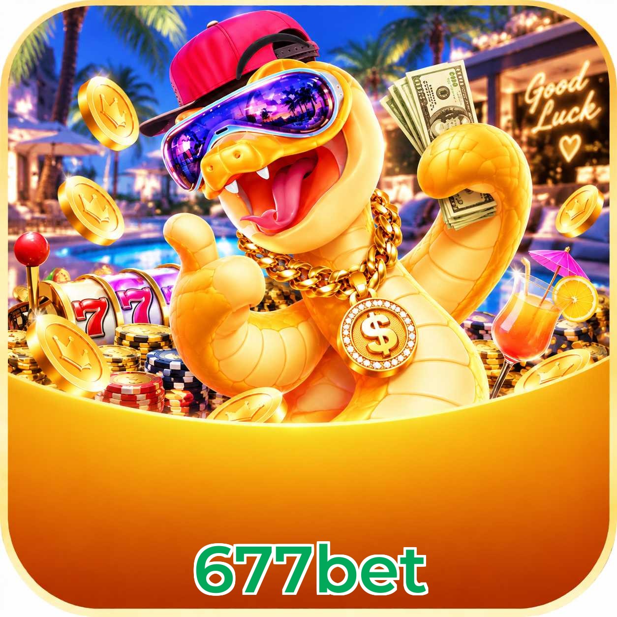 677bet Bet Odds Analysis