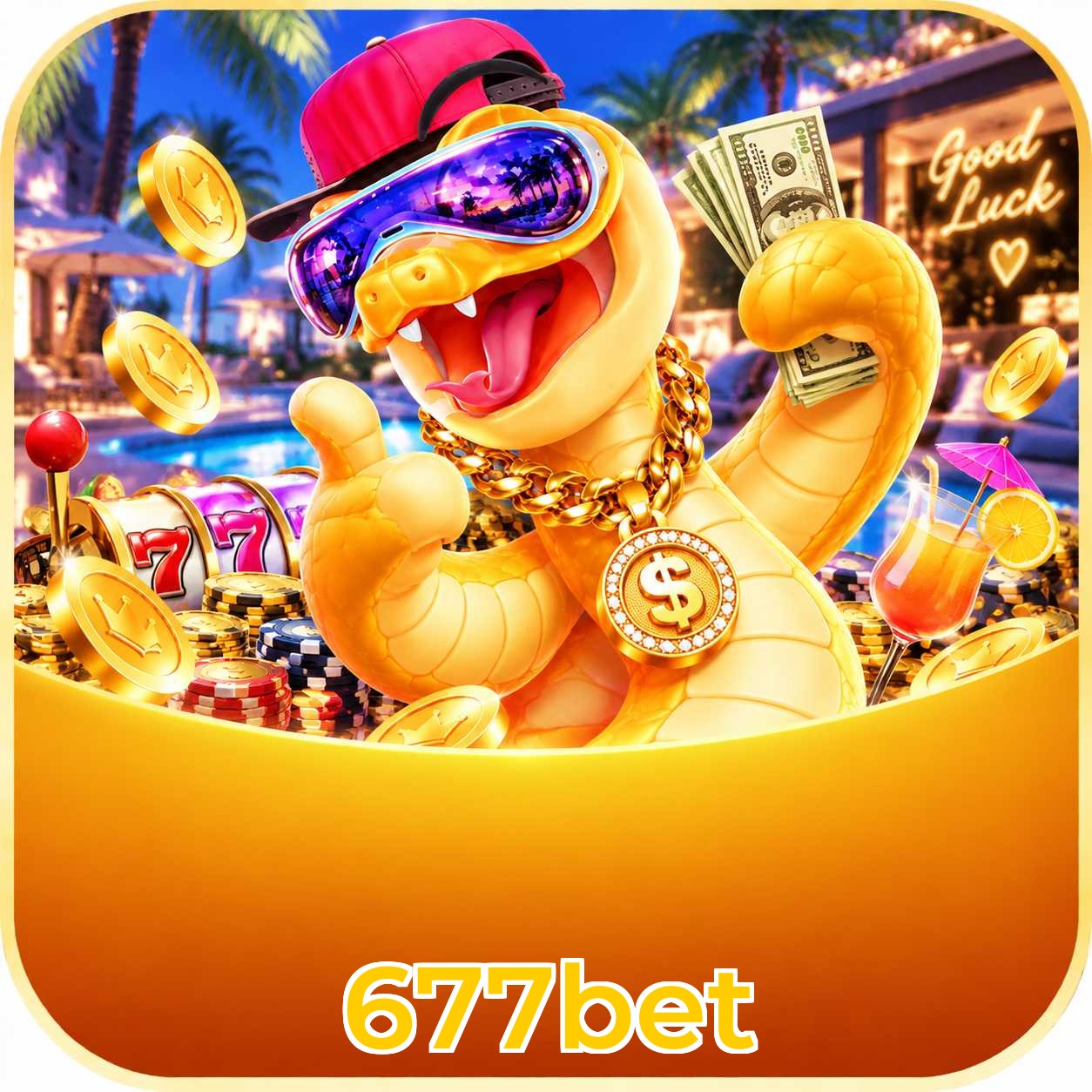 677bet Interface